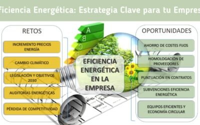 Eficiencia Energética: Estrategia Clave para tu Empresa